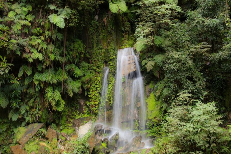 Cachoeira Pé da Serra - Barra do Garças MT