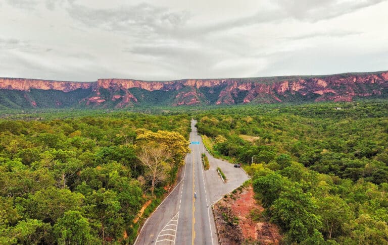 Formação rochosa da Chapada dos Guimarães com floresta densa Foto Felipe