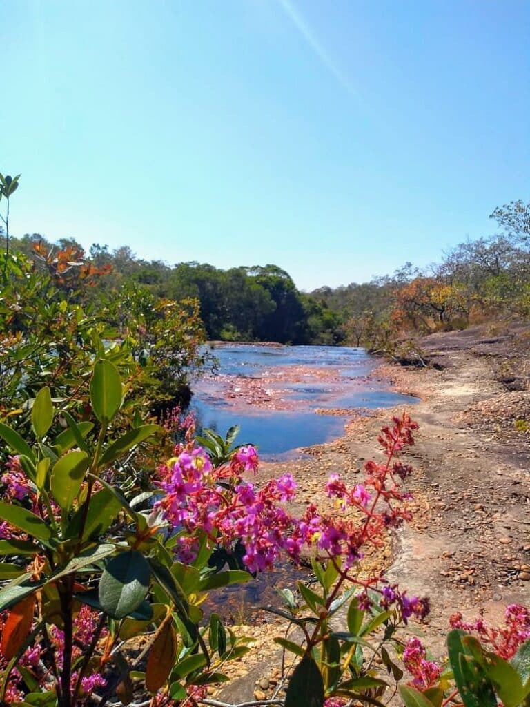 Serra do Roncador - Barra do Garças MT