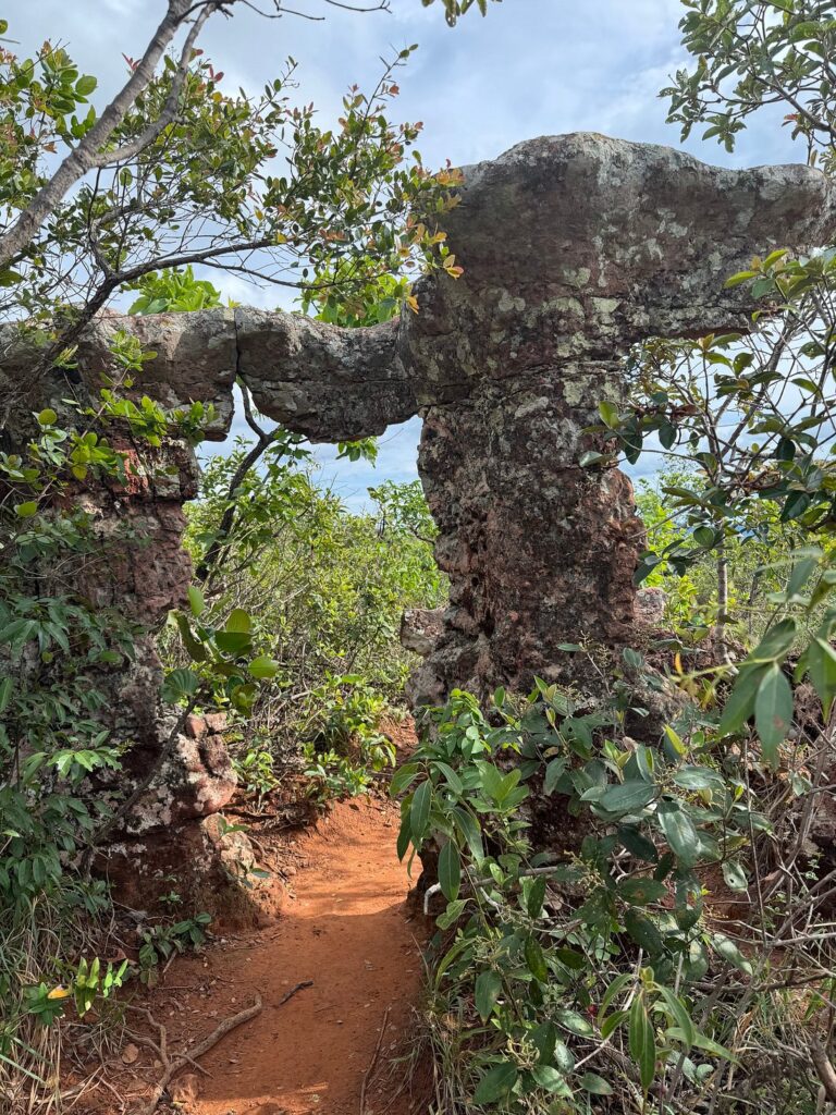 Mirante Cidade de Pedra - Chapada dos Guimarães MT