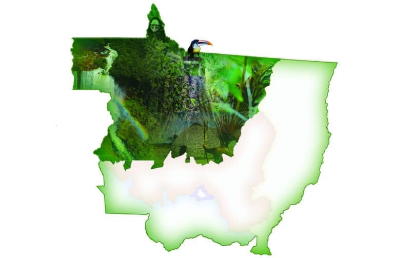 polo amazonia jpg