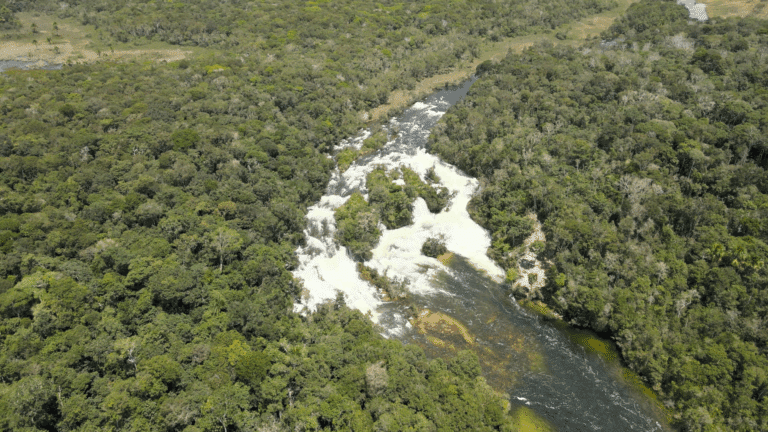 Aldeia Quatro Cachoeiras - Campo Novo dos Parecis - MT