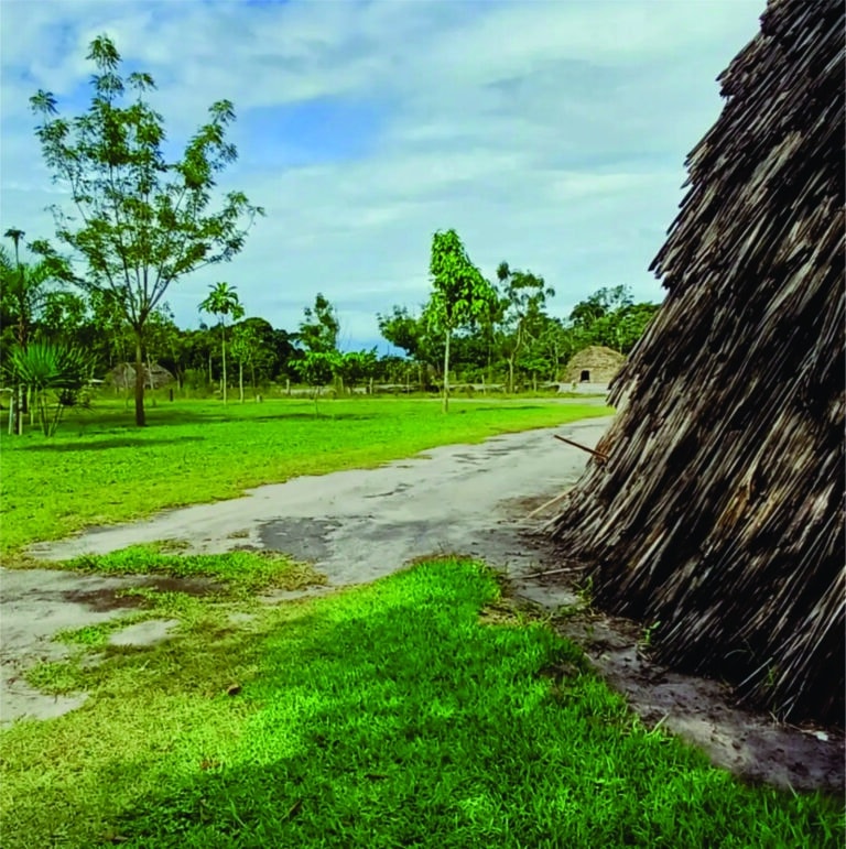 Aldeia Wazare - Campo Novo dos Parecis - MT