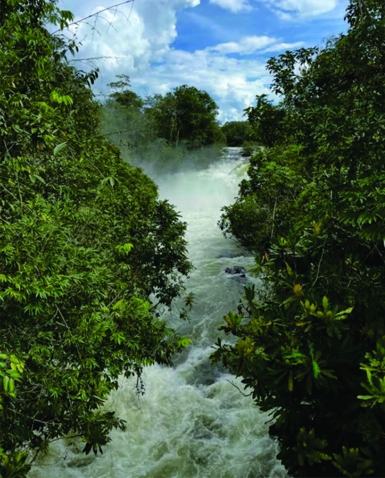 Aldeia Ponte de Pedra - Campo Novo dos Parecis - Mato Grosso