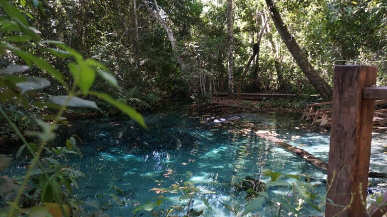 Aquário Encantado em Nobres - Turismo no Cerrado de Mato Grosso.