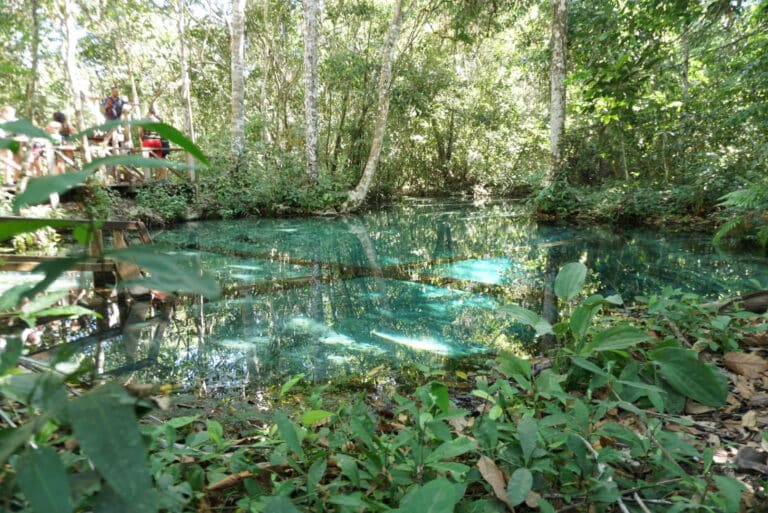 Aquário Encantado em Nobres - Turismo no Cerrado de Mato Grosso.