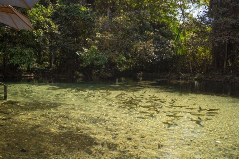Balneário Estivado em Nobres - Turismo no Cerrado de Mato Grosso.
