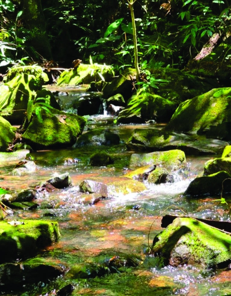 Cânion-Das-Índias-Jaciara-MT-Mato-Grosso-Cerrado-Brasil-Canyons