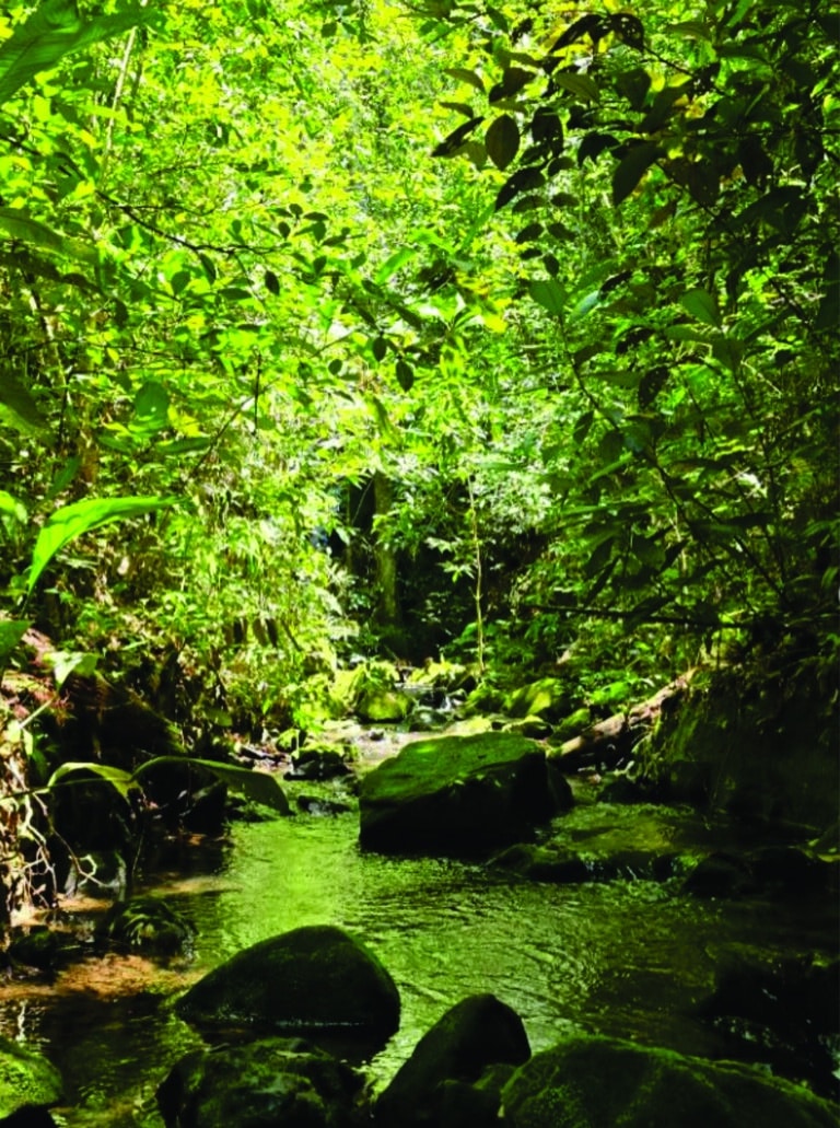 Cânion-Das-Índias-Jaciara-MT-Mato-Grosso-Cerrado-Natureza