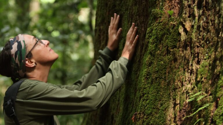Cristalino Jungle Lodge - Alta Floresta-MT