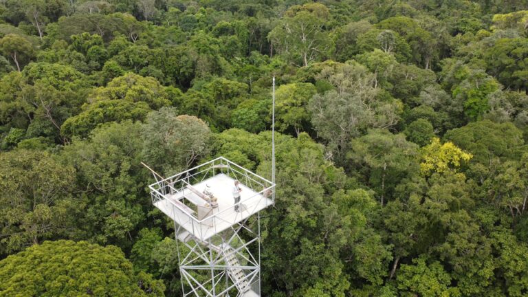 Cristalino Jungle Lodge - Alta Floresta-MT