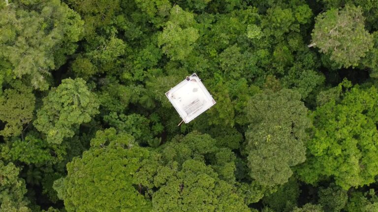 Cristalino Jungle Lodge - Alta Floresta-MT