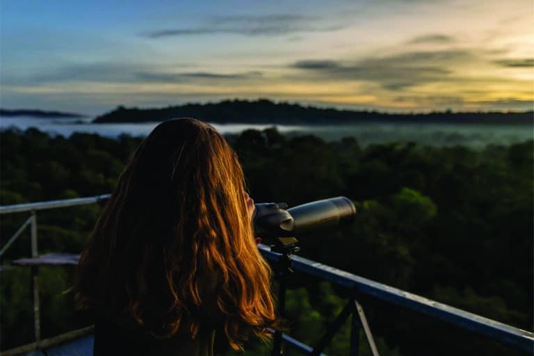 Cristalino Jungle Lodge - Alta Floresta-MT