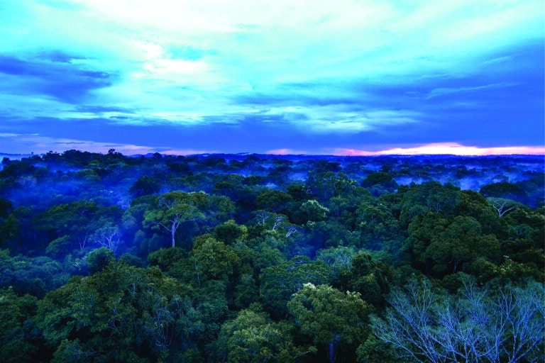Cristalino Jungle Lodge - Alta Floresta-MT - Foto Alex da Riva