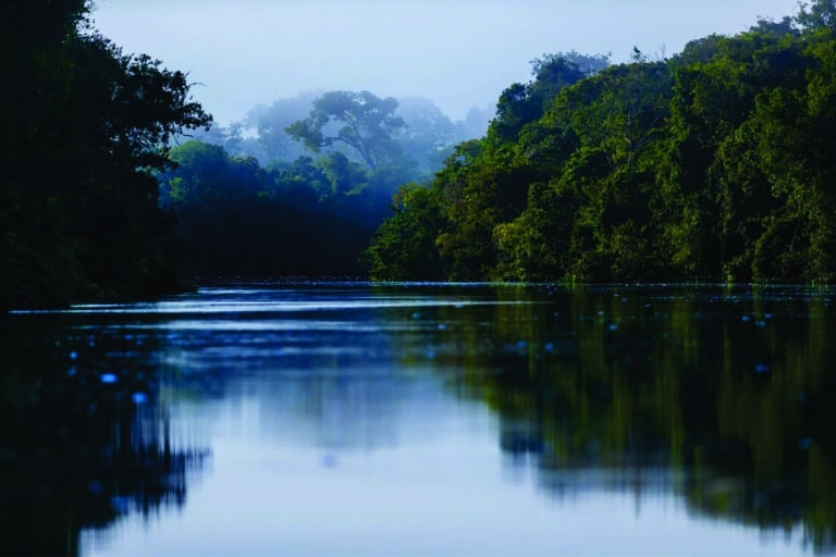 Cristalino Jungle Lodge - Alta Floresta-MT - Foto João Paulo Krajewski