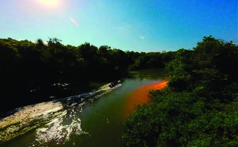 Fotos da Reserva Ecológica Cunhataí Porã