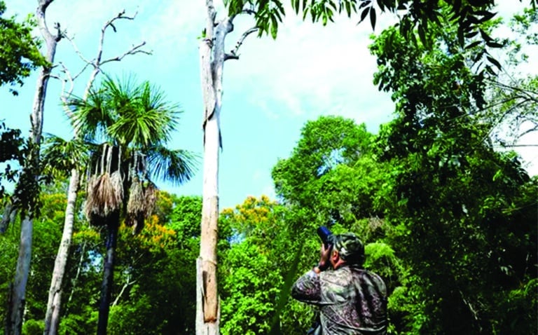 Fotos da Reserva Ecológica Cunhataí Porã