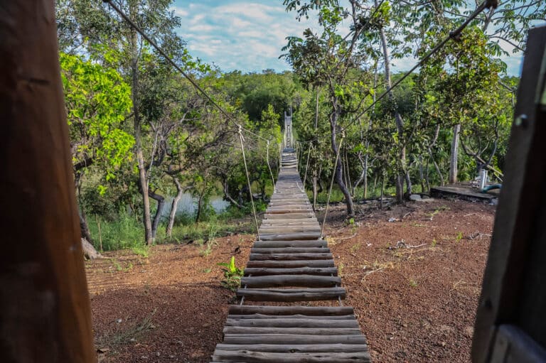 Mirante do Cerrado em Nobres - Turismo no Cerrado de Mato Grosso.