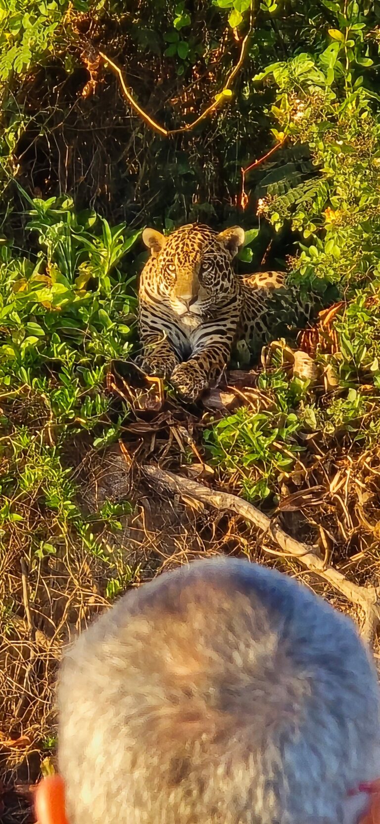 Parque Est. Encontro das Águas - Tripadvisor @Fabiana D