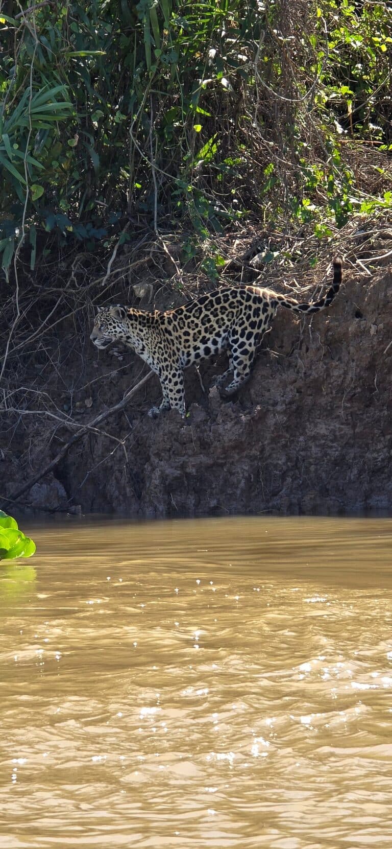 Parque Est. Encontro das Águas - Tripadvisor @Fabiana D