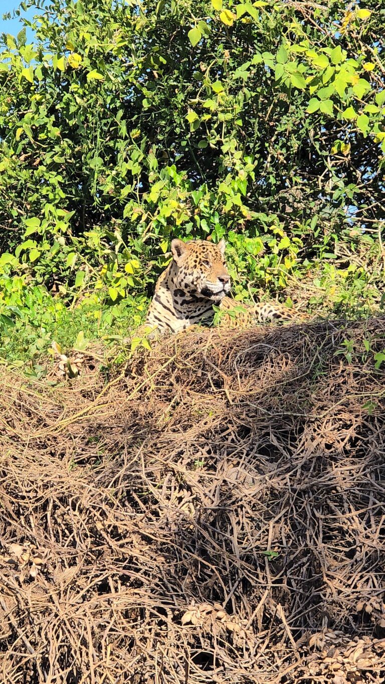 Parque Est. Encontro das Águas - Tripadvisor @Fabiana