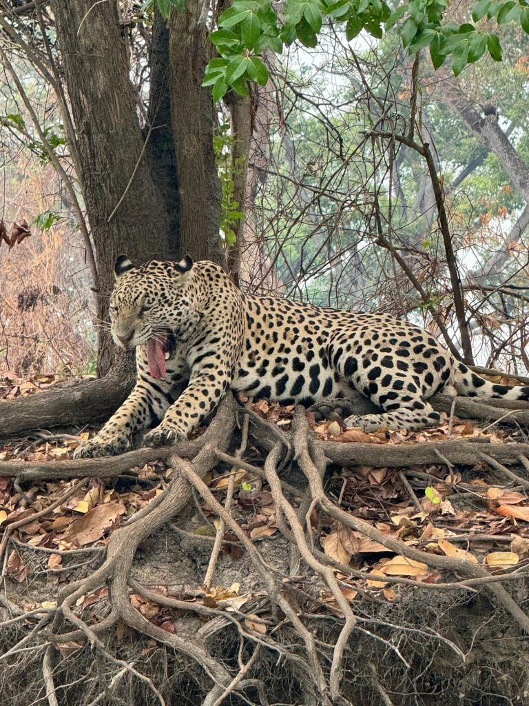 Parque Est. Encontro das Águas - Tripadvisor @Fernando Martins