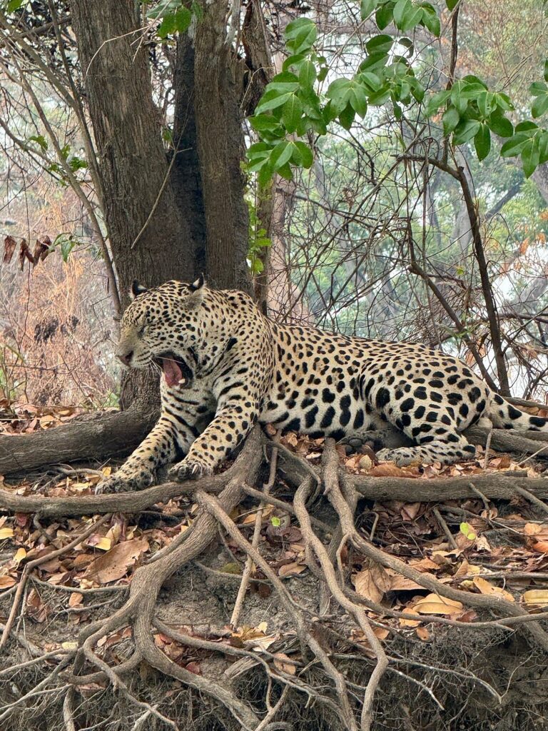 Parque Est. Encontro das Águas - Tripadvisor @Fernando Martins