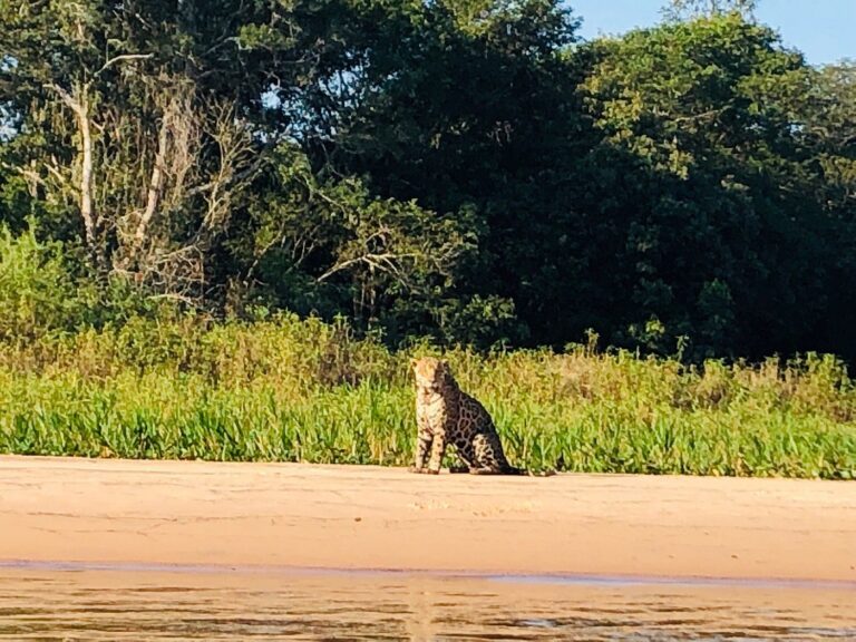 Parque Estadual Encontro das Águas - Poconé MT - Tripadvisor @GASPARETO