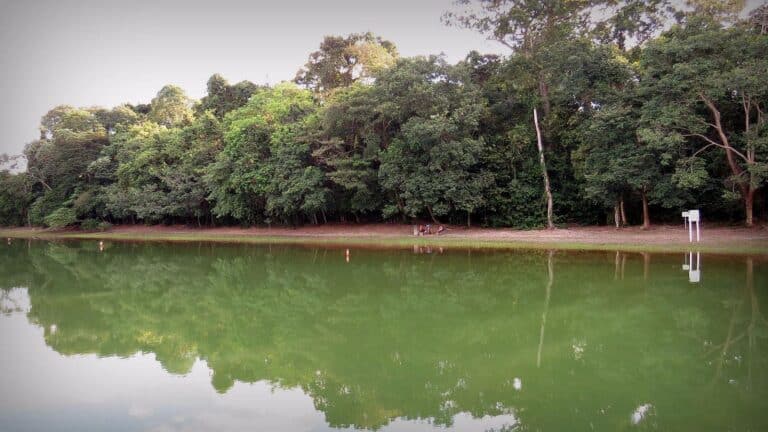 Parque Florestal Sinop MT