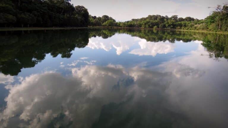 Parque Florestal Sinop MT