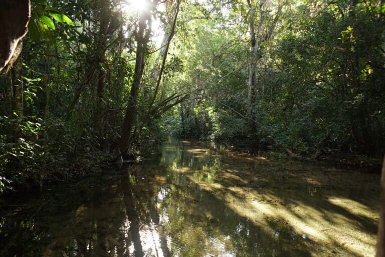 Reino-Encantado-Nobres-MT-natureza