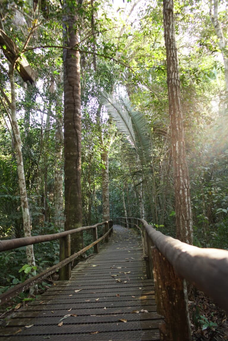 Reino-Encantado-Nobres-MT-turismo