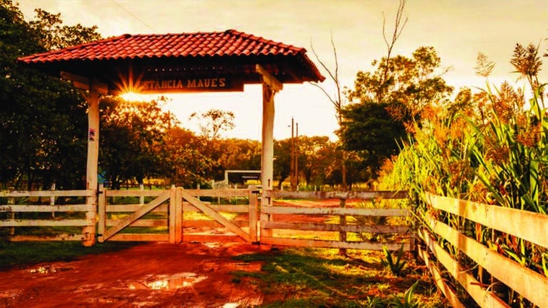 Roteiro Cidades Pantaneiras-Estância Maués