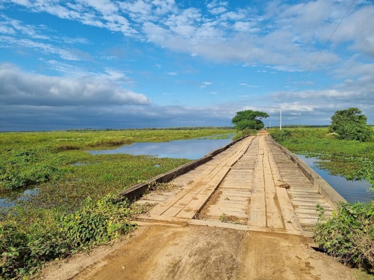 Transpantaneira Poconé-MT Tripadvisor-@Cesar