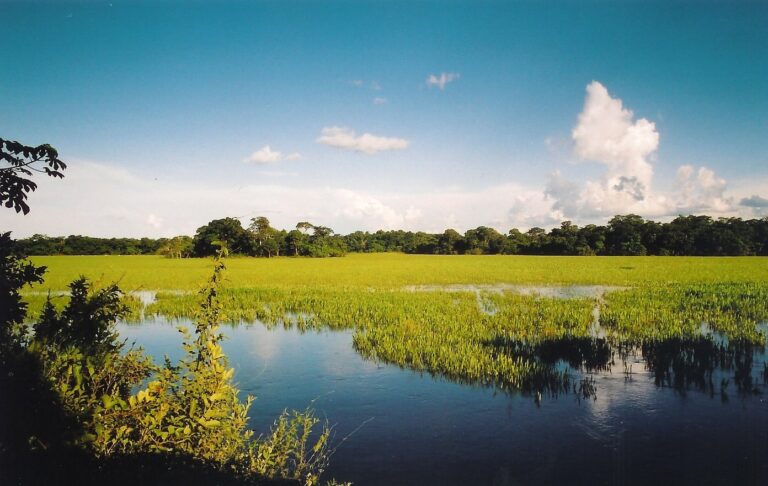 Transpantaneira Poconé-MT Tripadvisor-@claudio