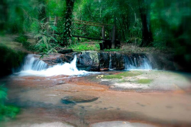 Águas Quentes - Serra de São Vicente MT