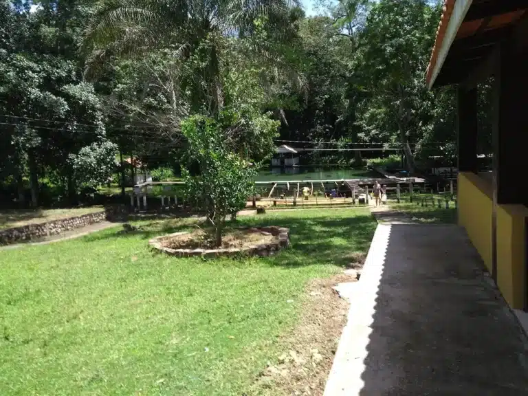 Fazenda Ecológica Progresso - Mirassol D'oeste MT