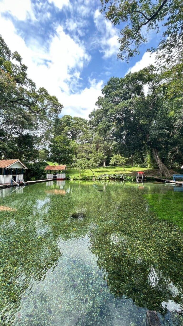 Fazenda Ecológica Progresso - Mirassol D'oeste MT