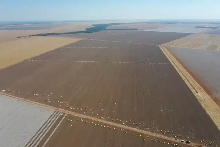 Fazenda Piracema - SLC Agrícola