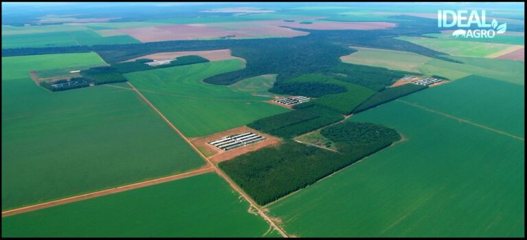 Ideal Agro - Fazenda Mutum