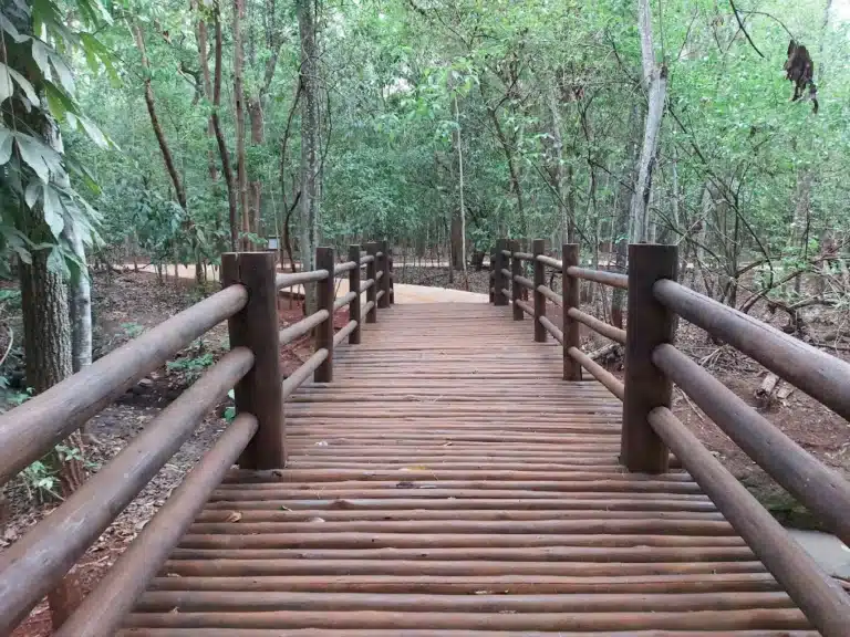Parque Ilto Ferreira Coutinho