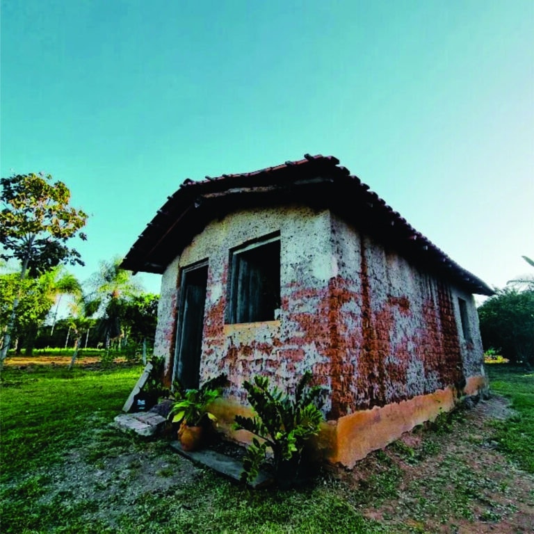 Roteiro Vida Pantaneira