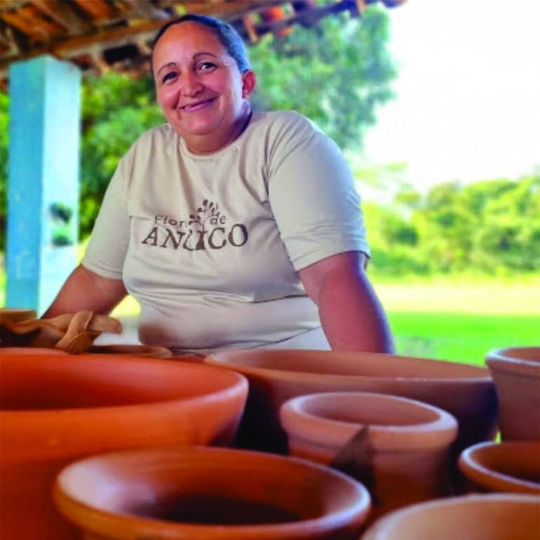 Roteiro Vida Pantaneira