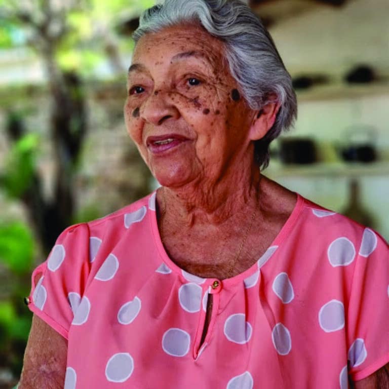 Roteiro Vida Pantaneira