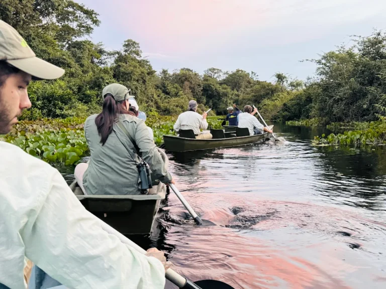 BiodiverseBrazil Tours