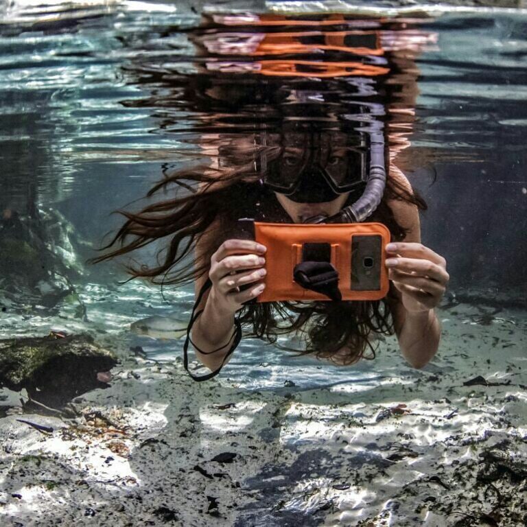 Brilhosa Turismo