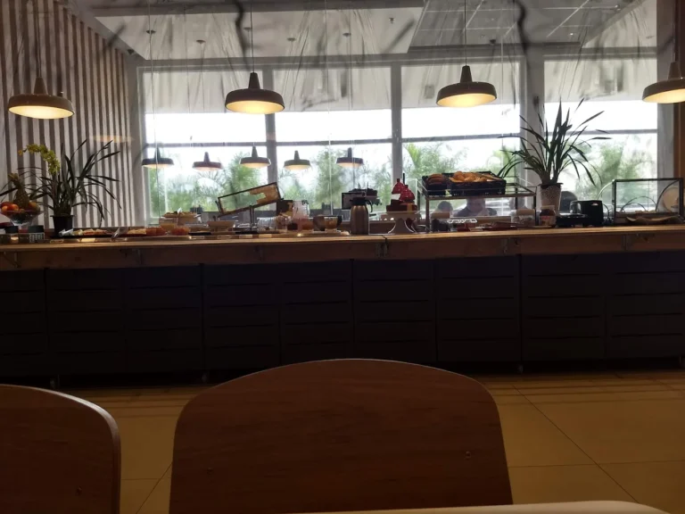 Ibis Sinop