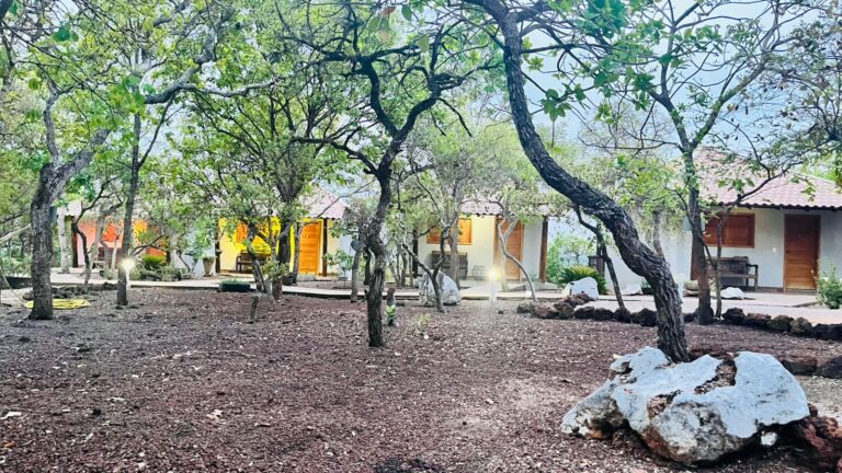 Mirante do Cerrado Bom Jardim