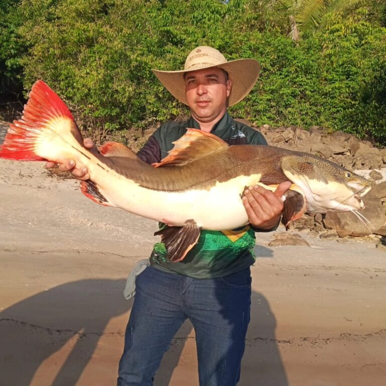 Pescando Gigantes