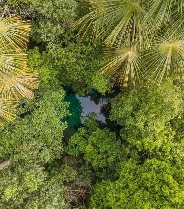 Pousada Jardim da Amazônia